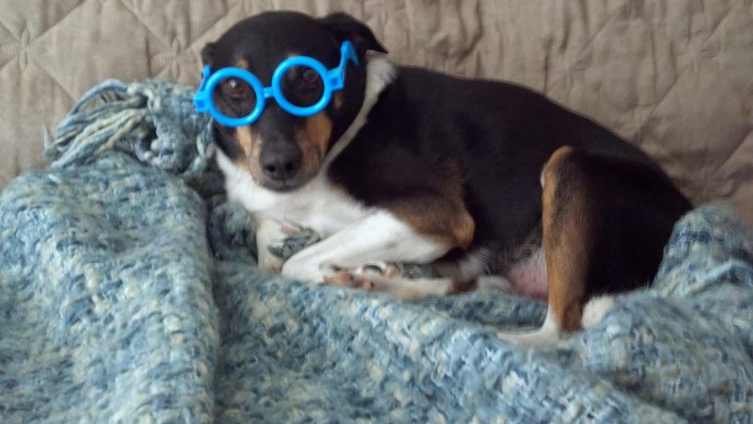 Radar is still waiting for the weatherman's prediction that the sun is coming! So where is it?
