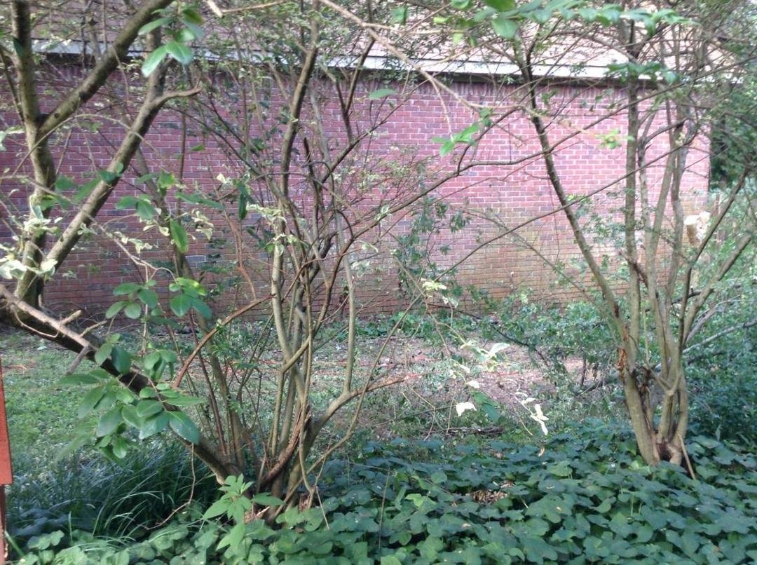 Between our garages.