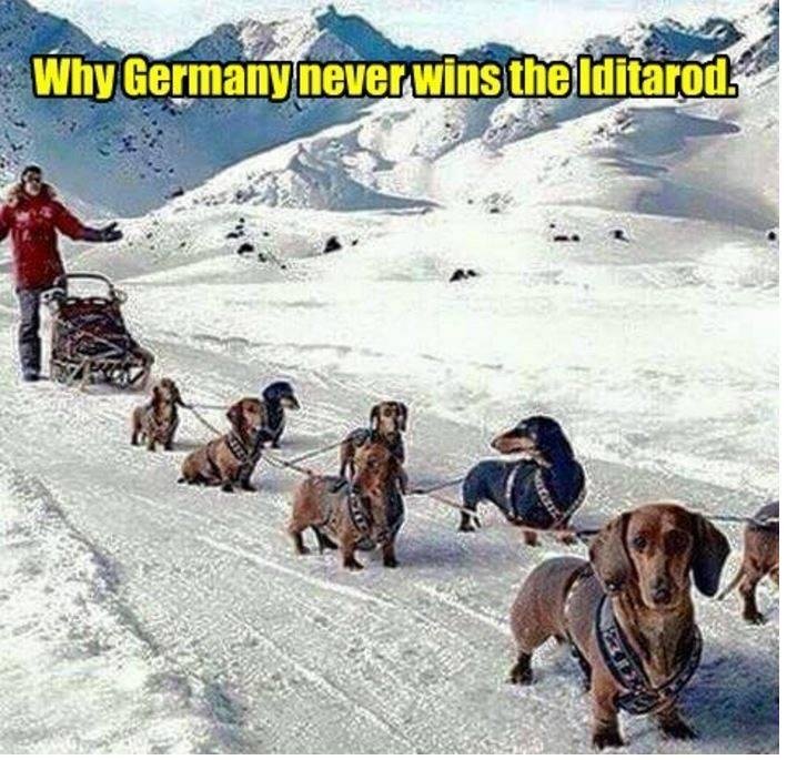 I can't help it I think this is funny