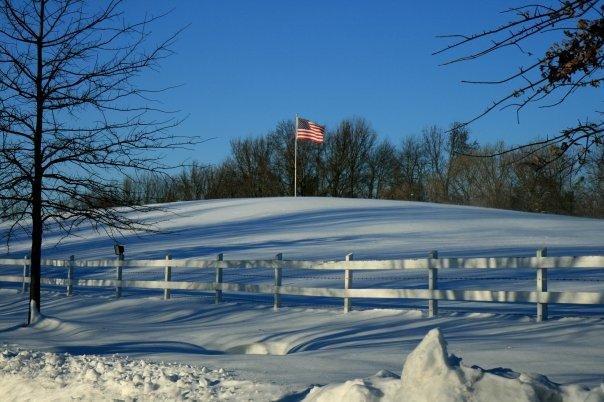 Davidsonville, MD...the day after the snow storm_12-20-09