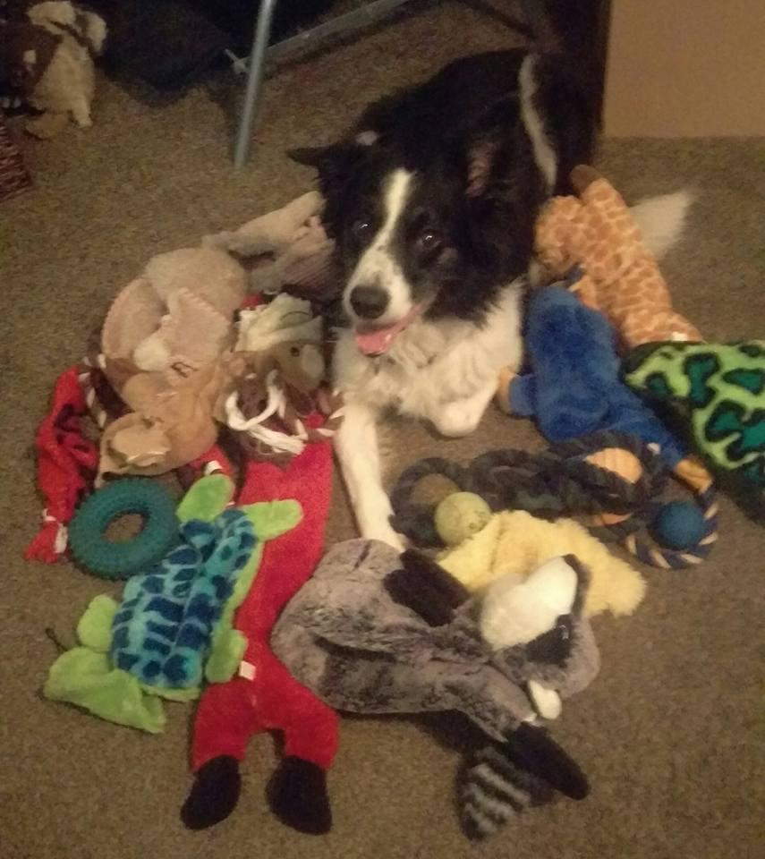 He looks so proud