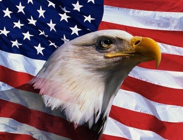 Happy 4th!!