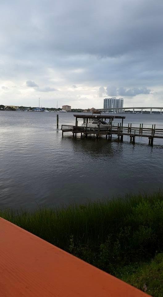 The view for dinner