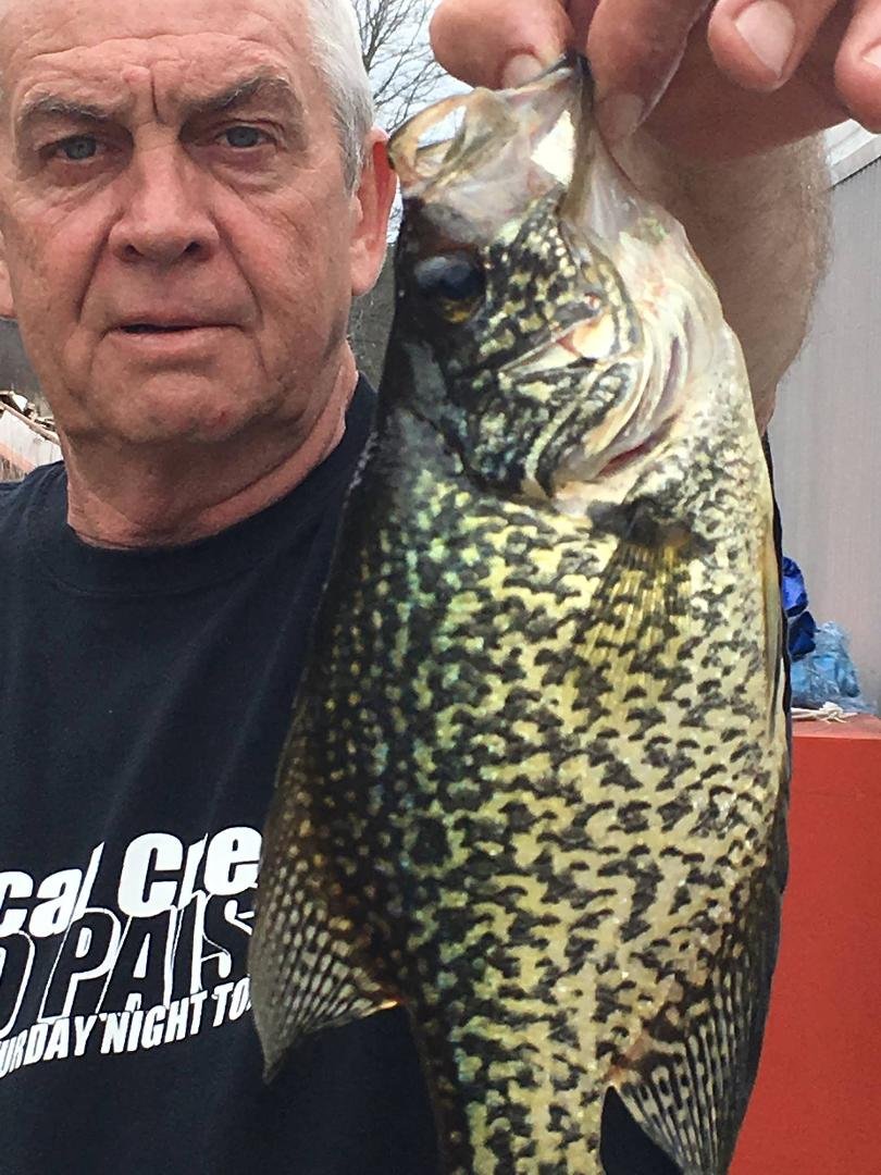 Fish are biting good today