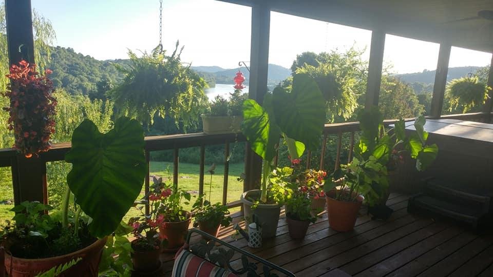 Robert Stewart's album, Timeline Photos