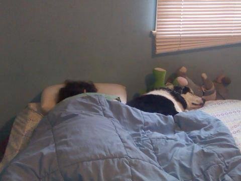 Anna and Bella sleeping.....