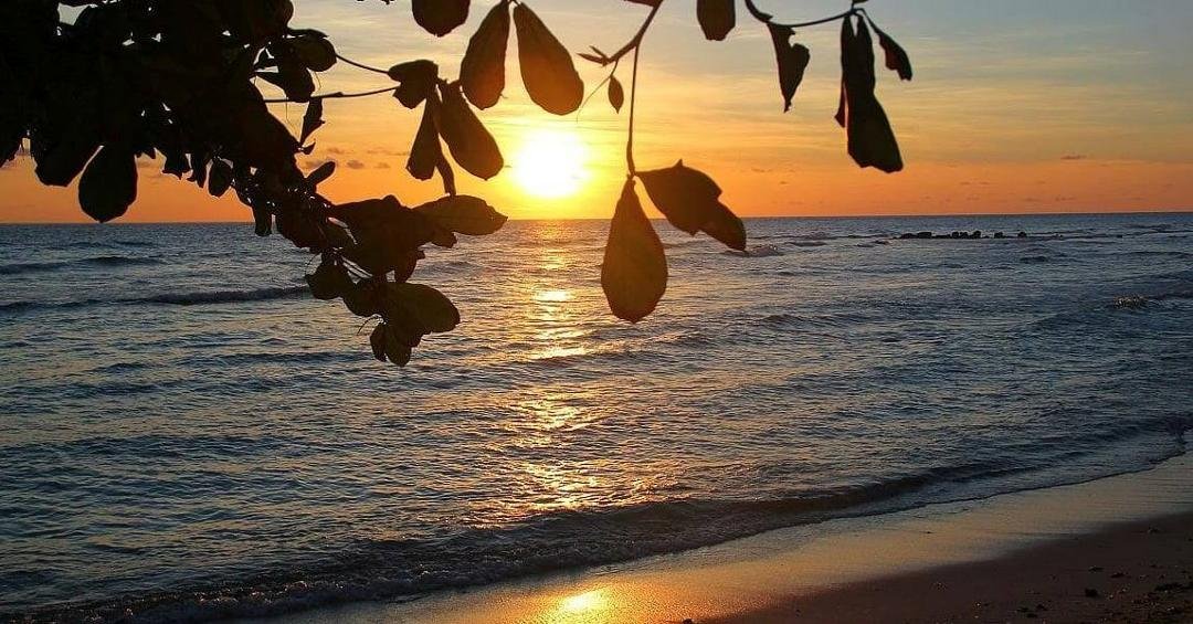 As the sun sets in the west I pray that all will have a restful night.