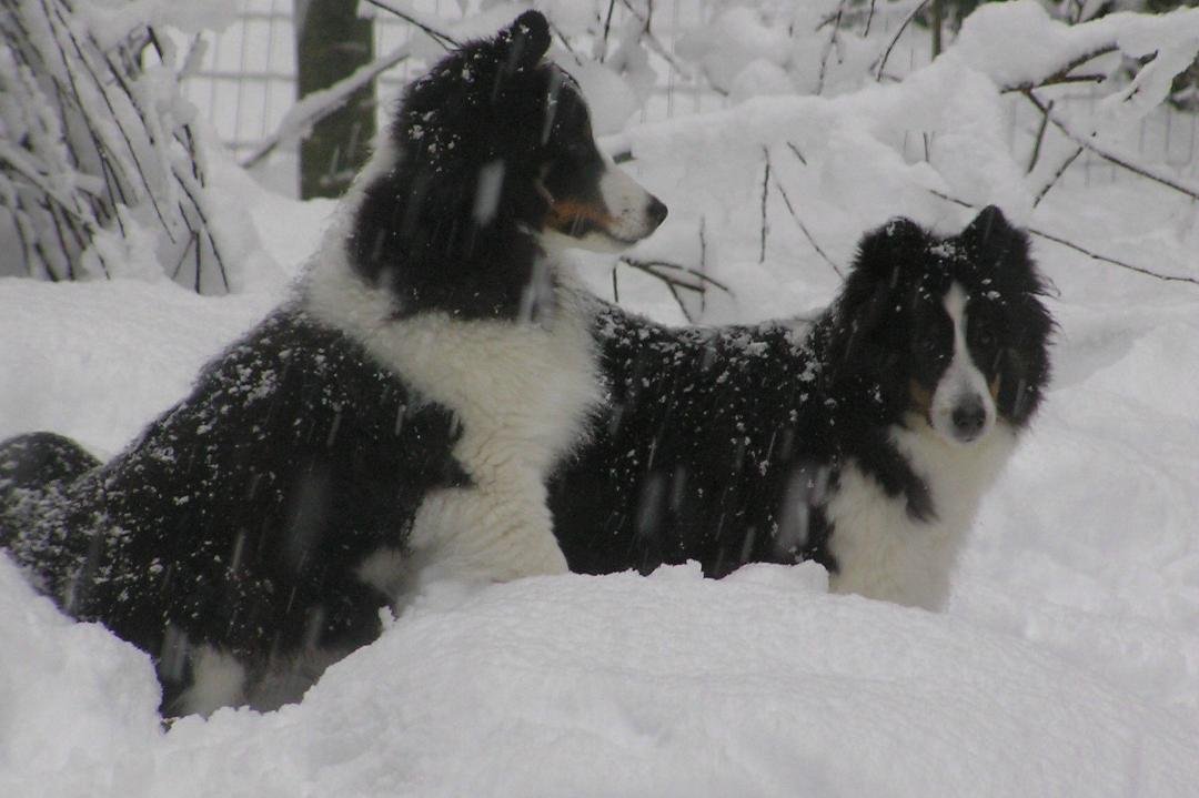 Westley and Mom2.jpg