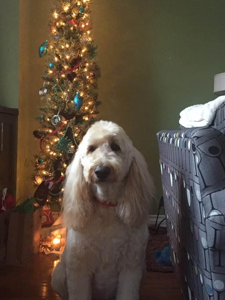 Looking good after his haircut