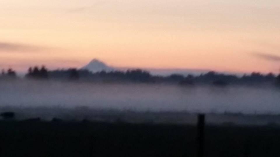 God saying goodmorning