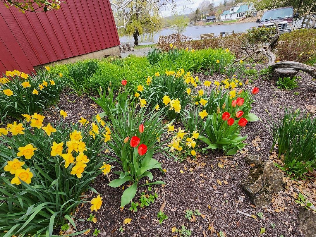Come to the Red Mill Museum today ... Red Goes Green! I'll be looking for you!