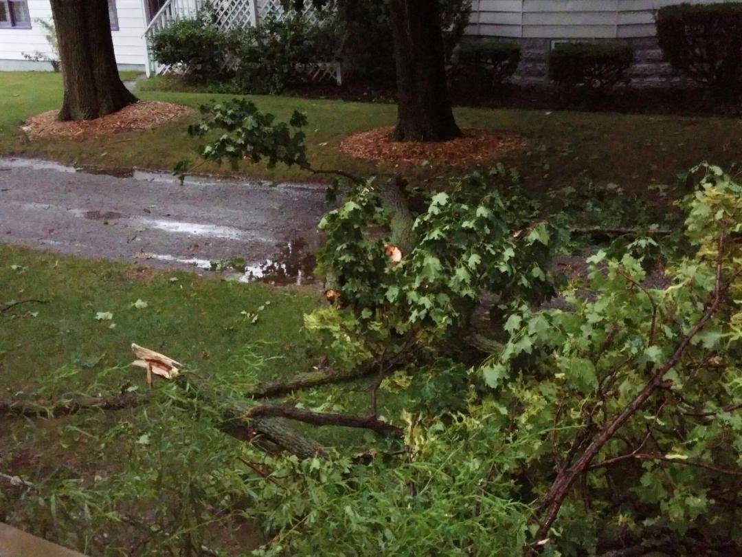 Sandy, (my neighbor), you missing anything? I think I found it in our driveway.