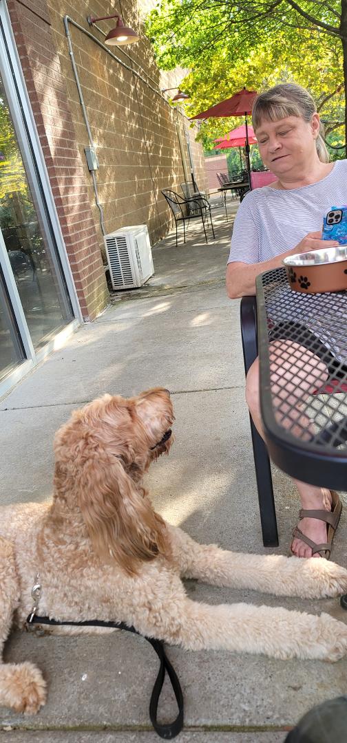 Supper on the patio with Toby and Lisa at Jefferson's. I think Toby likes hanging out here.