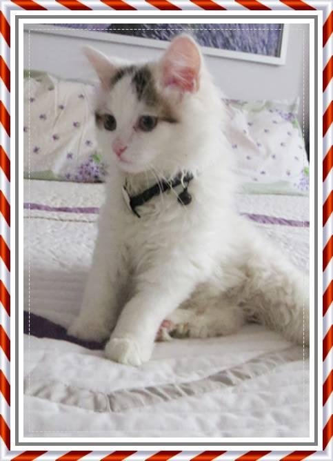 Bruce MOTT's album, Timeline Photos