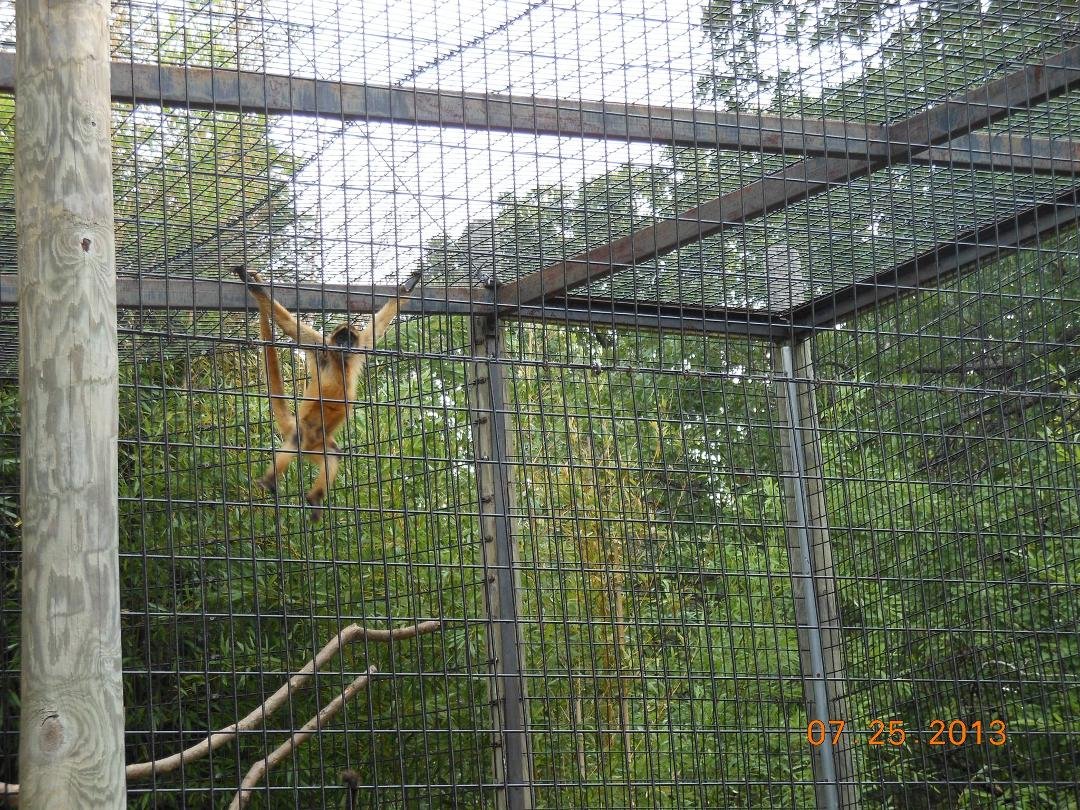 Not Much to do just hanging around with the boys.