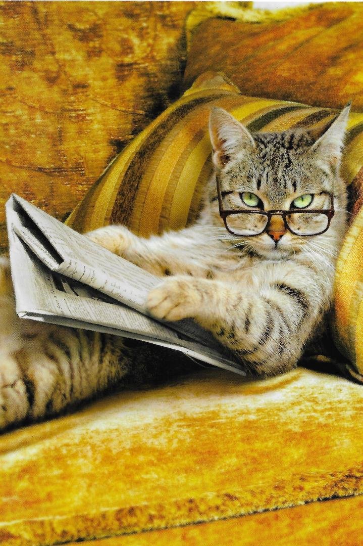 Yes I said I am Retired. Any other questions? Have a good day