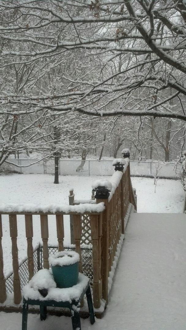 Taken from the upper deck!