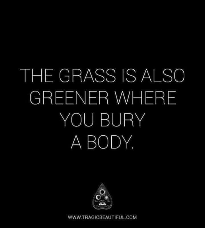 Robert Thompson's album, Timeline Photos