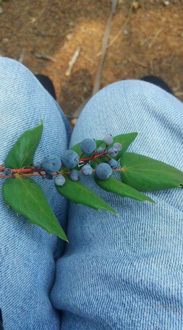 Please ID if possible