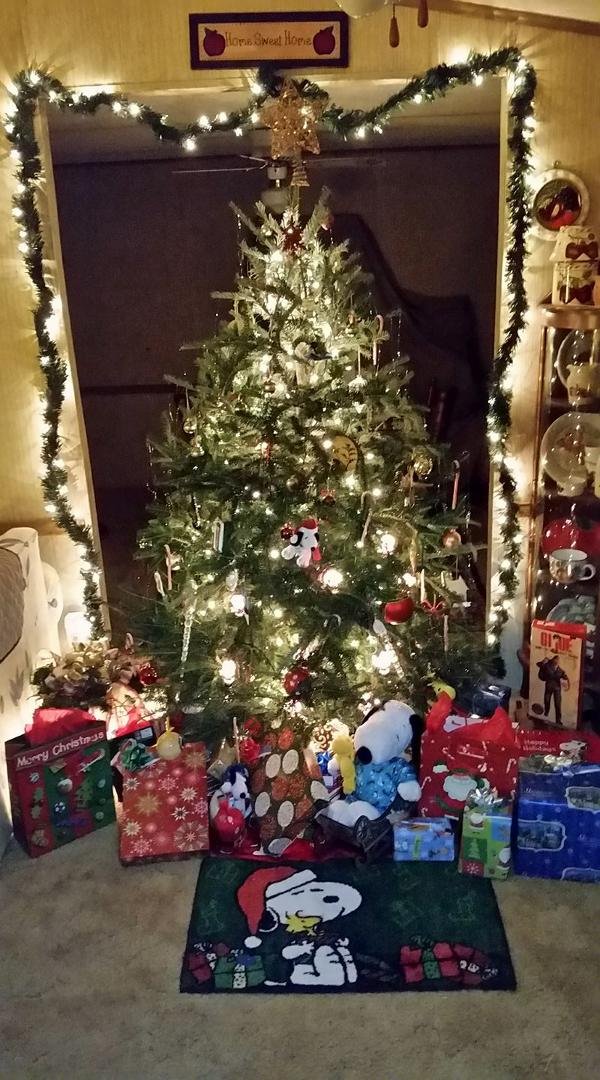 Sue did a great job decorating; Merry Christmas to all!