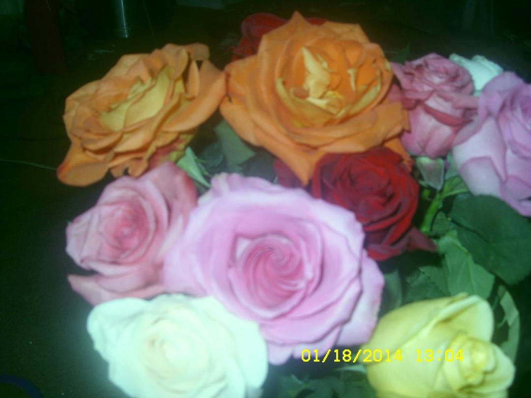 flowers my best friend angel gave me for b-day
