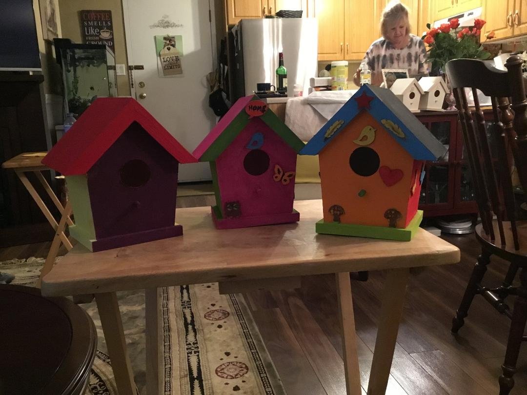 Birdhouse painting today Joan jack and dianne