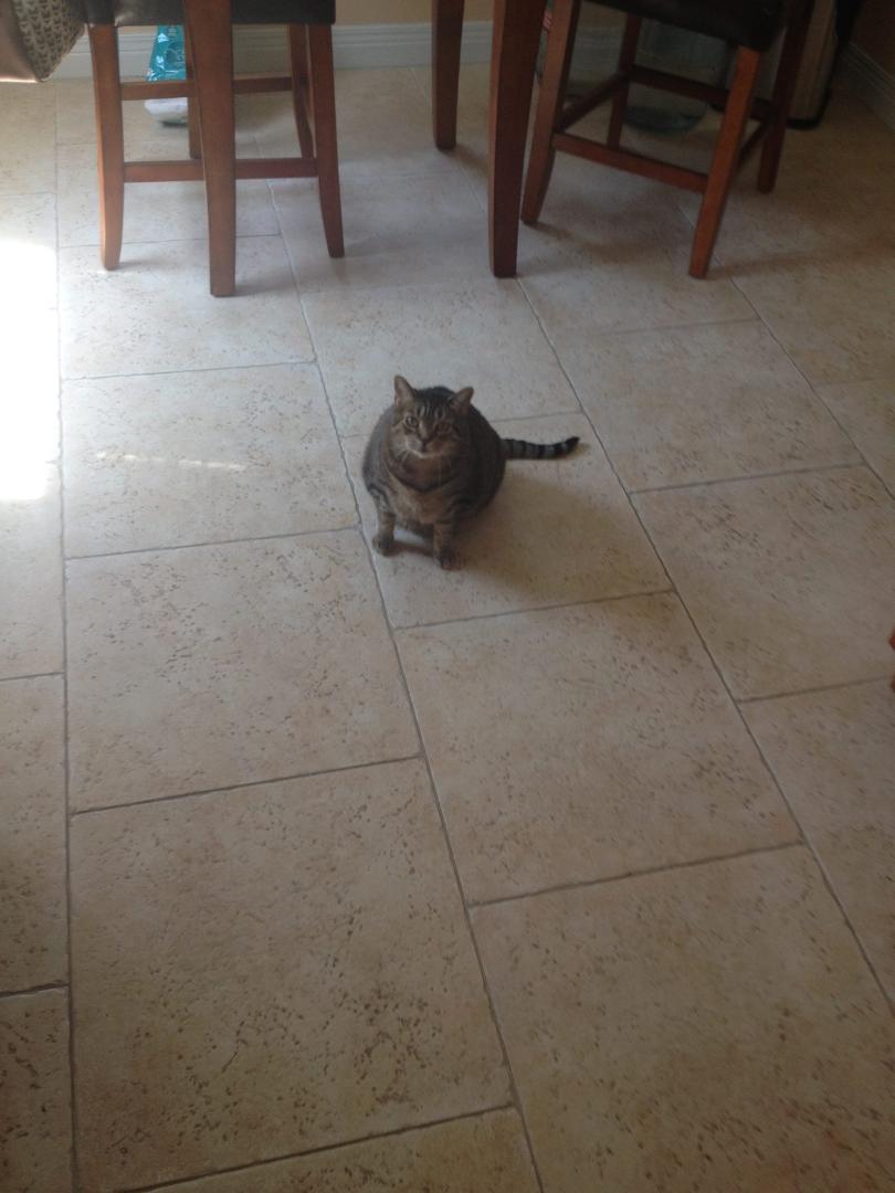 The lovely Lisbeth. This is as close as she would get. Shy.