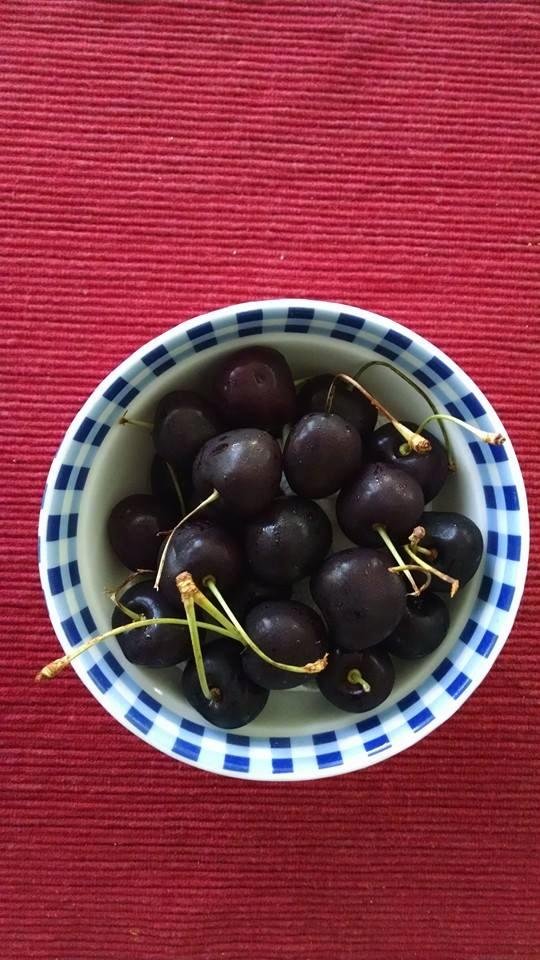 For you who like Bing Cherries. The 99 cent store has them for 99 cents a pound!
