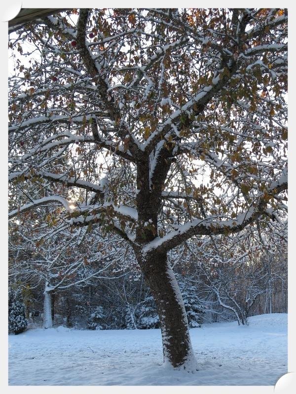 Bruce MOTT's album, Timeline Photos