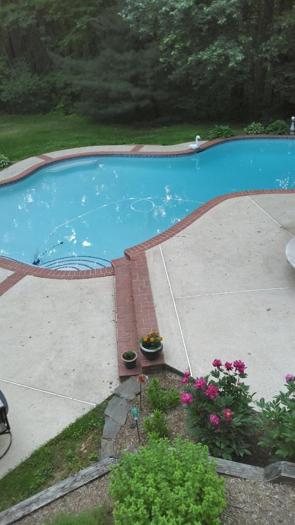 Poor swan. I thought I was safe in pool,then some person came and kicked me out . Hope he remembers to put me back in