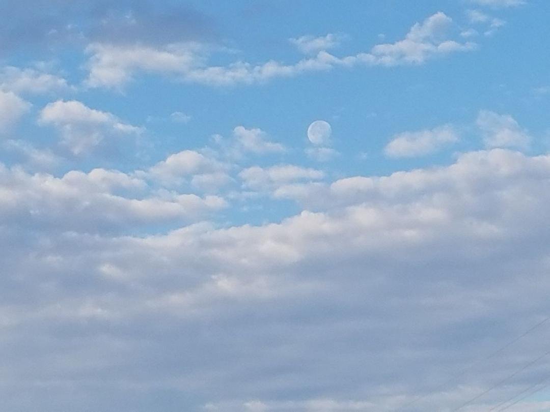 8:15... the sun is up and so is the moon.