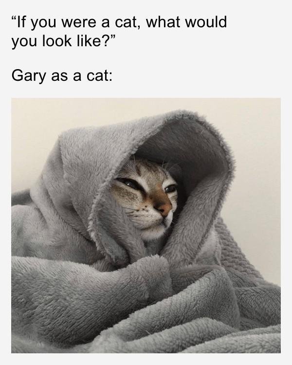Gary Levin's album, Timeline Photos