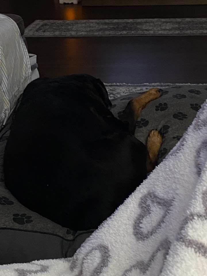 Robert Cobia's album, Timeline photos