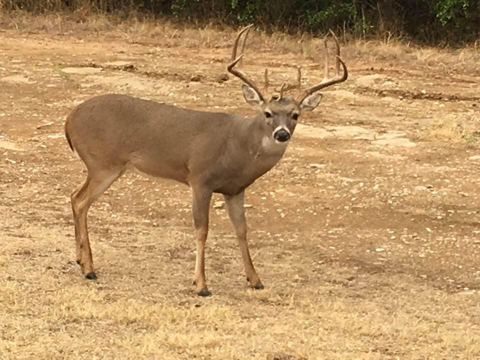 Last years visitor