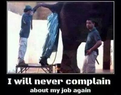 Kaylee we have a job for you the pay is shity but it has good benefits
