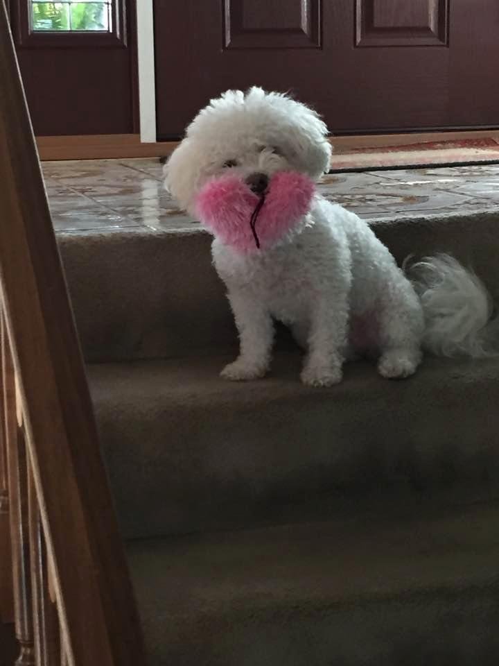 My Lily with a new toy