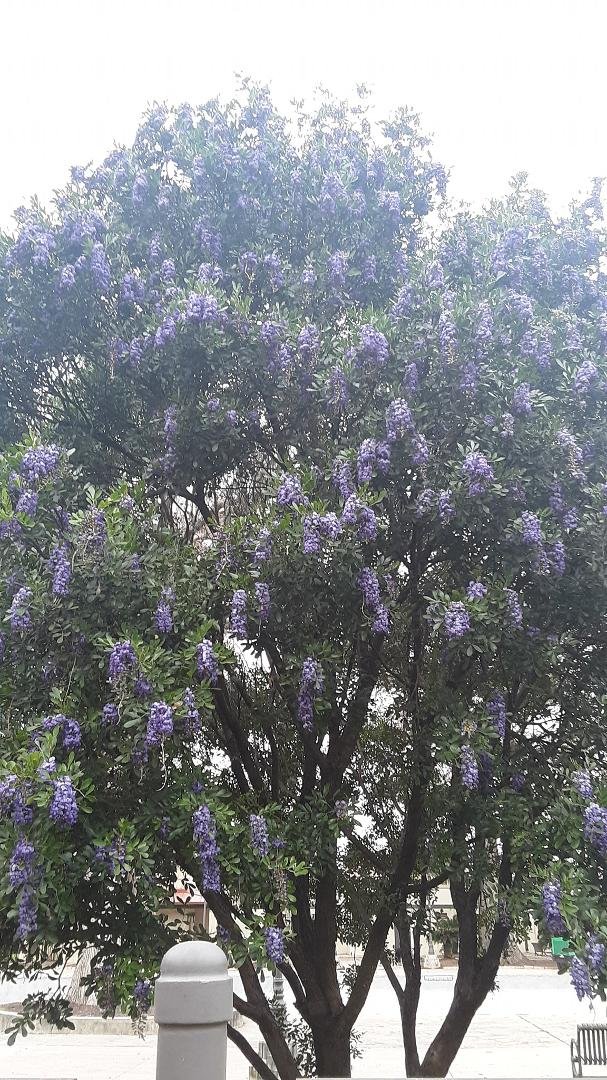Annette King's album, Timeline photos