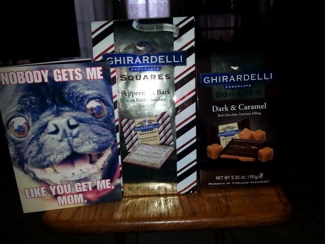 My mom's day surprise Thank you Brittany, Charlie, Dakota, Argos, Rocky, Merlin.