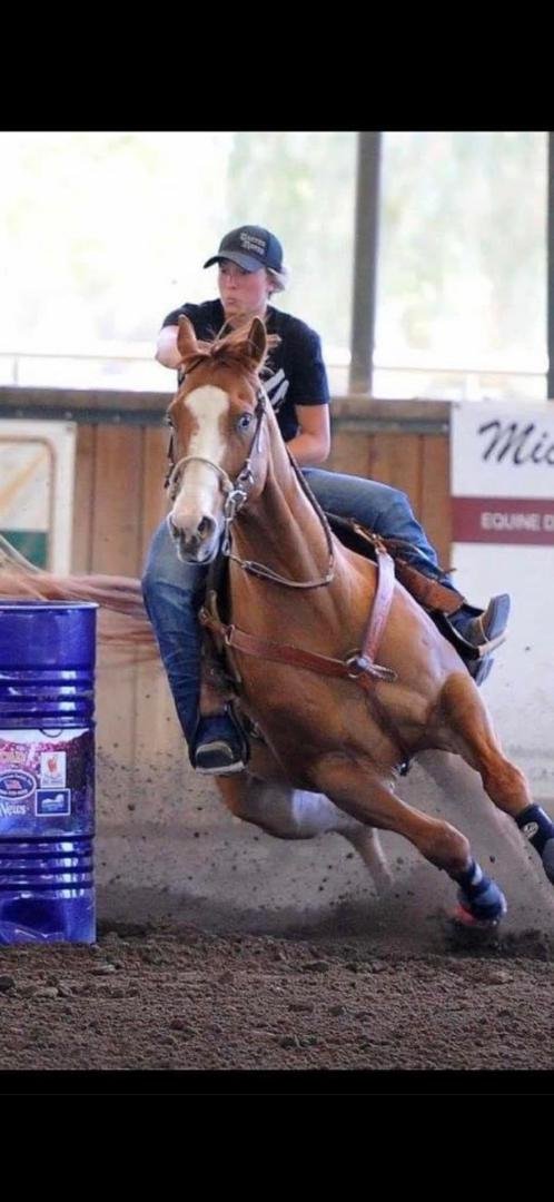 Back from Tulare and saw Elvis, he can't sing a lick, he didn't get drunk, but he sure runs a mean barrel. Met some fabulous new friends, saw some fine barrel racing, enjoyed the sunshine, and got to spend some time with m
