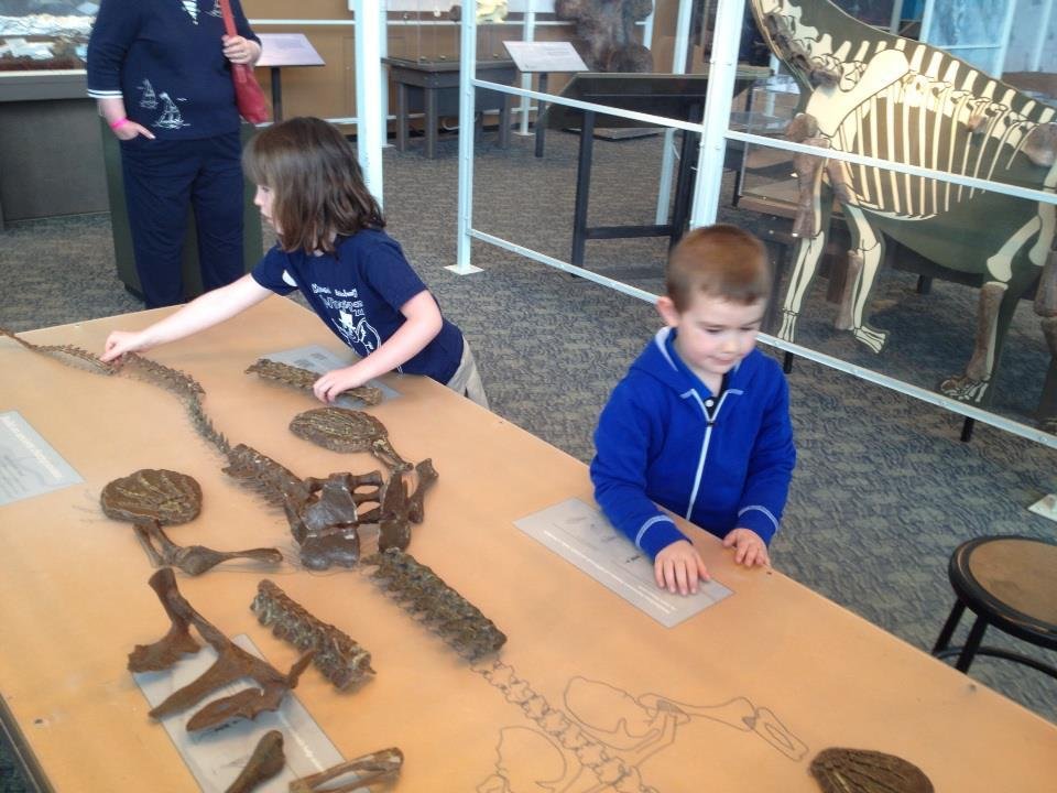 Preston at the MD Science Museum. Bones.