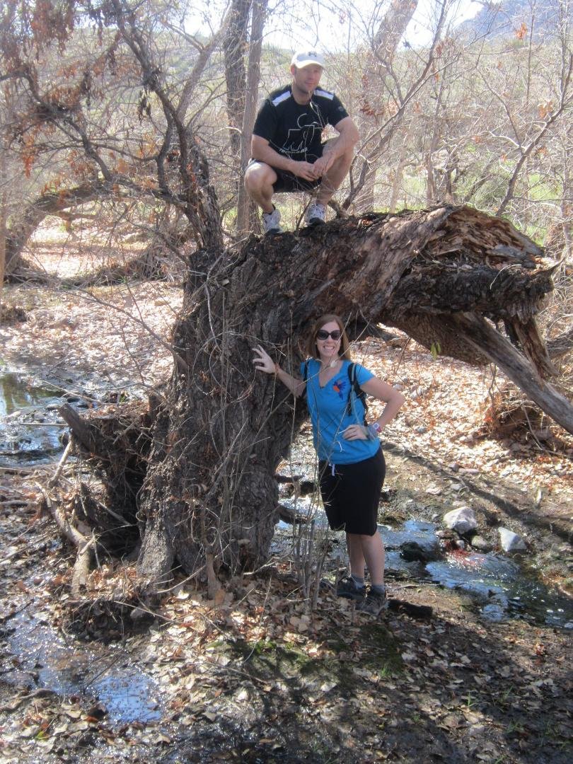 Dan Griffin's album, LOST hike 2-18-12