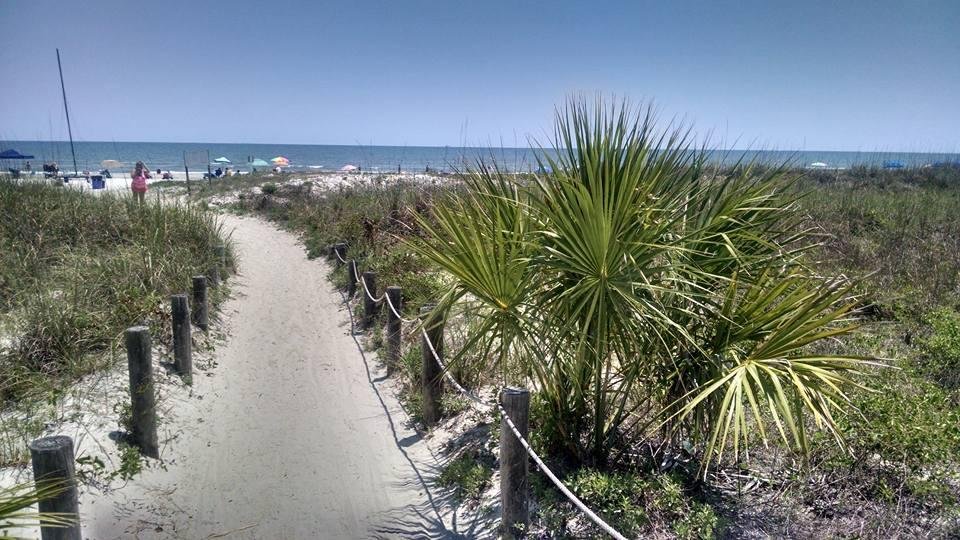 Tore a muscle in my back and the doctor said 6-12 weeks of no golf. So, to fill my time I decided to go to the beach..............starting today. And a perfect Beach day it was.