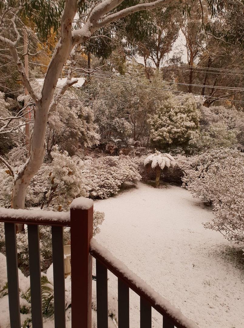 Morning snowfall...