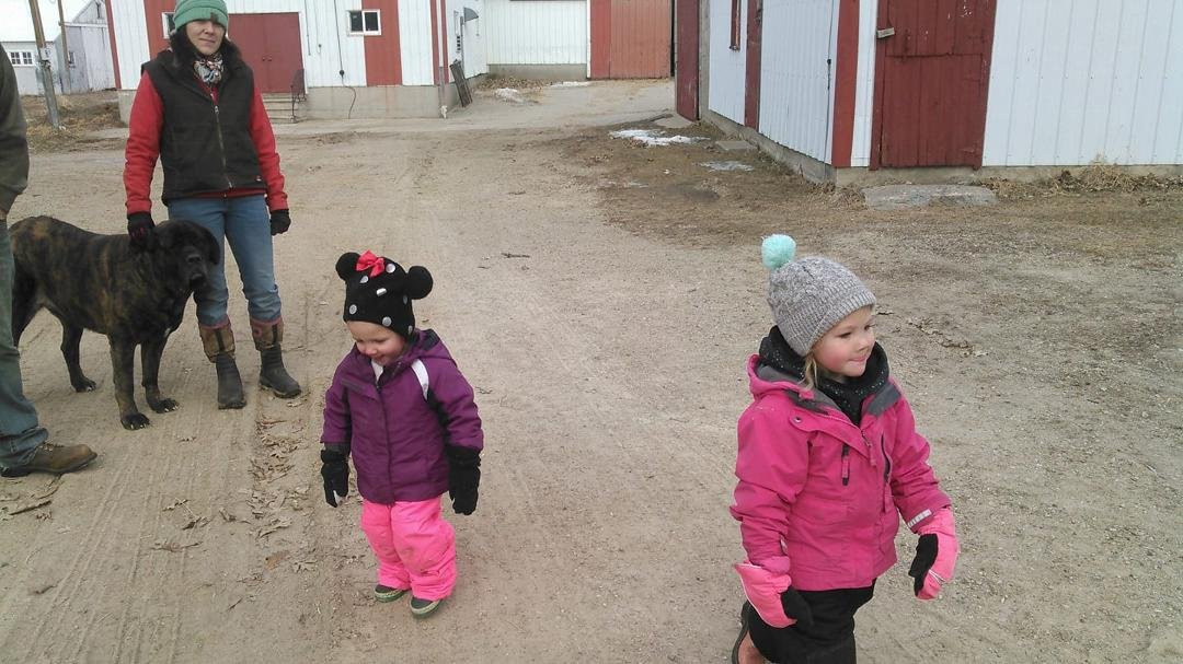 My 2 littlest city sleekers out in the. Country life