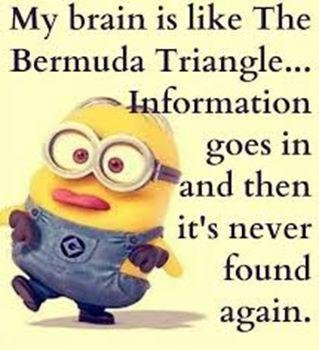 Does anyone else feel like this some days?