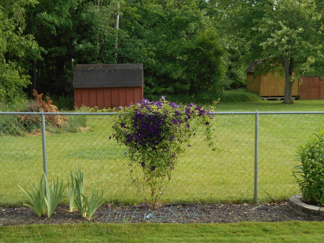 Troy Butts' album, Timeline photos