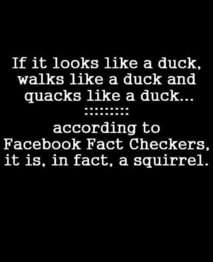 Dan A Scott's album, Timeline photos
