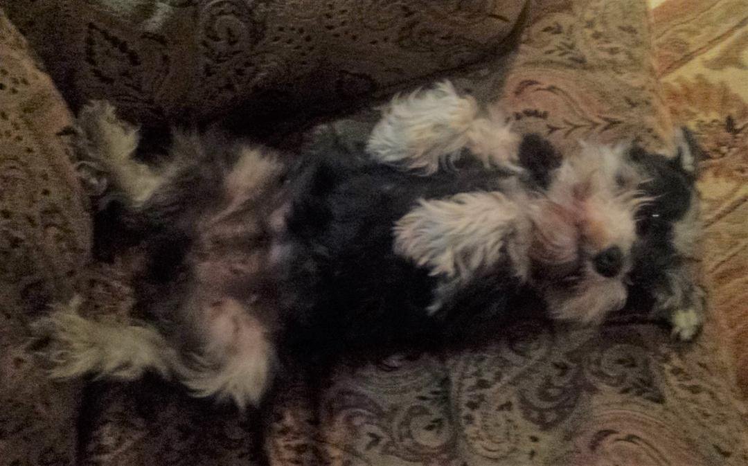 Mia chilling