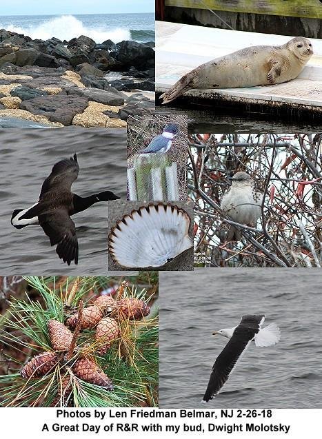 A Photo Collage of the day in Belmar,NJ