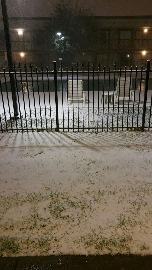 More snow, looks like i will jump in the pool in the morning, start my own Polar Bear club in north Texas.